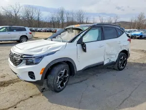 Kia Seltos 2.0L 4 2025