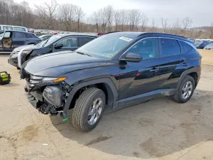 Hyundai Tucson 2.5L 4 2024