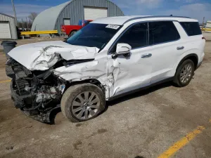 Hyundai Palisade 3.8L 6 2024