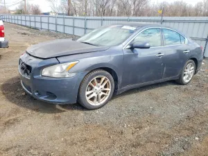 Nissan Maxima 3.5L 6 2010
