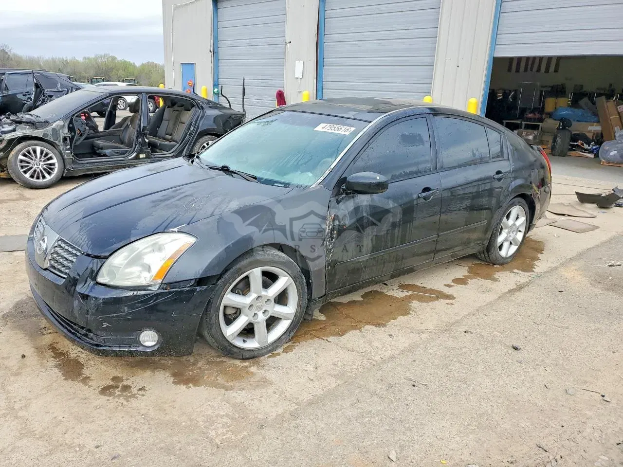 Nissan Maxima 3.5L 6 2005