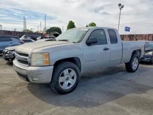 Chevrolet Silverado 1500 4.8L 8 2007