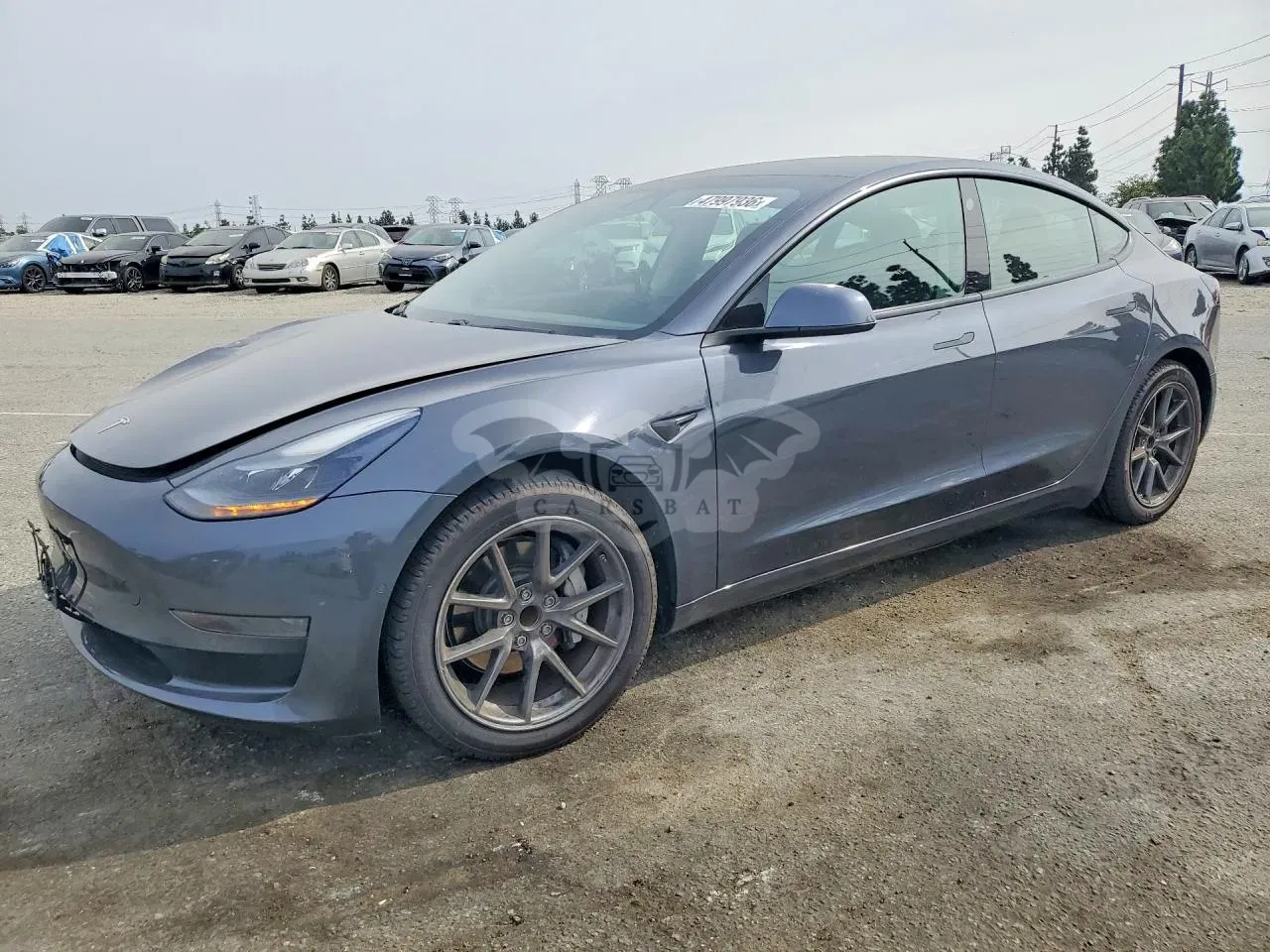 Tesla Model 3 2021