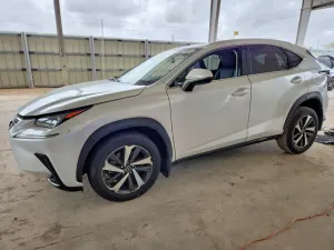 Lexus NX 2.0L 4 2021