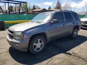 Chevrolet Trailblazer 4.2L 6 2009