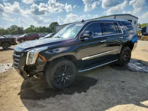 Cadillac Escalade 6.2L 8 2019