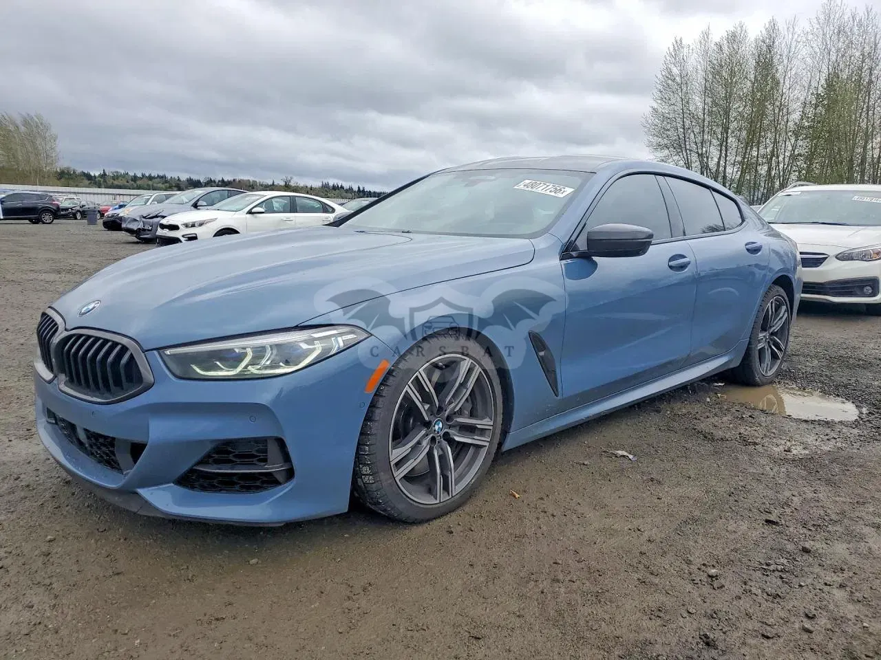 BMW 8 Series 4.4L 8 2022