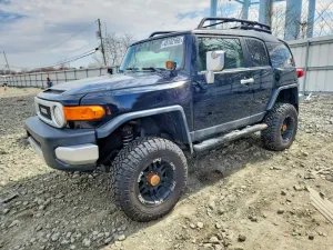 Toyota FJ Cruiser 4.0L 6 2010