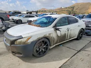 Nissan Maxima 3.5L 6 2009