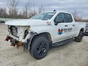 Chevrolet Silverado 1500 5.3L 8 2019