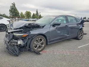 Honda Accord 1.5L 4 2023