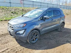 Ford Ecosport 2.0L 4 2018
