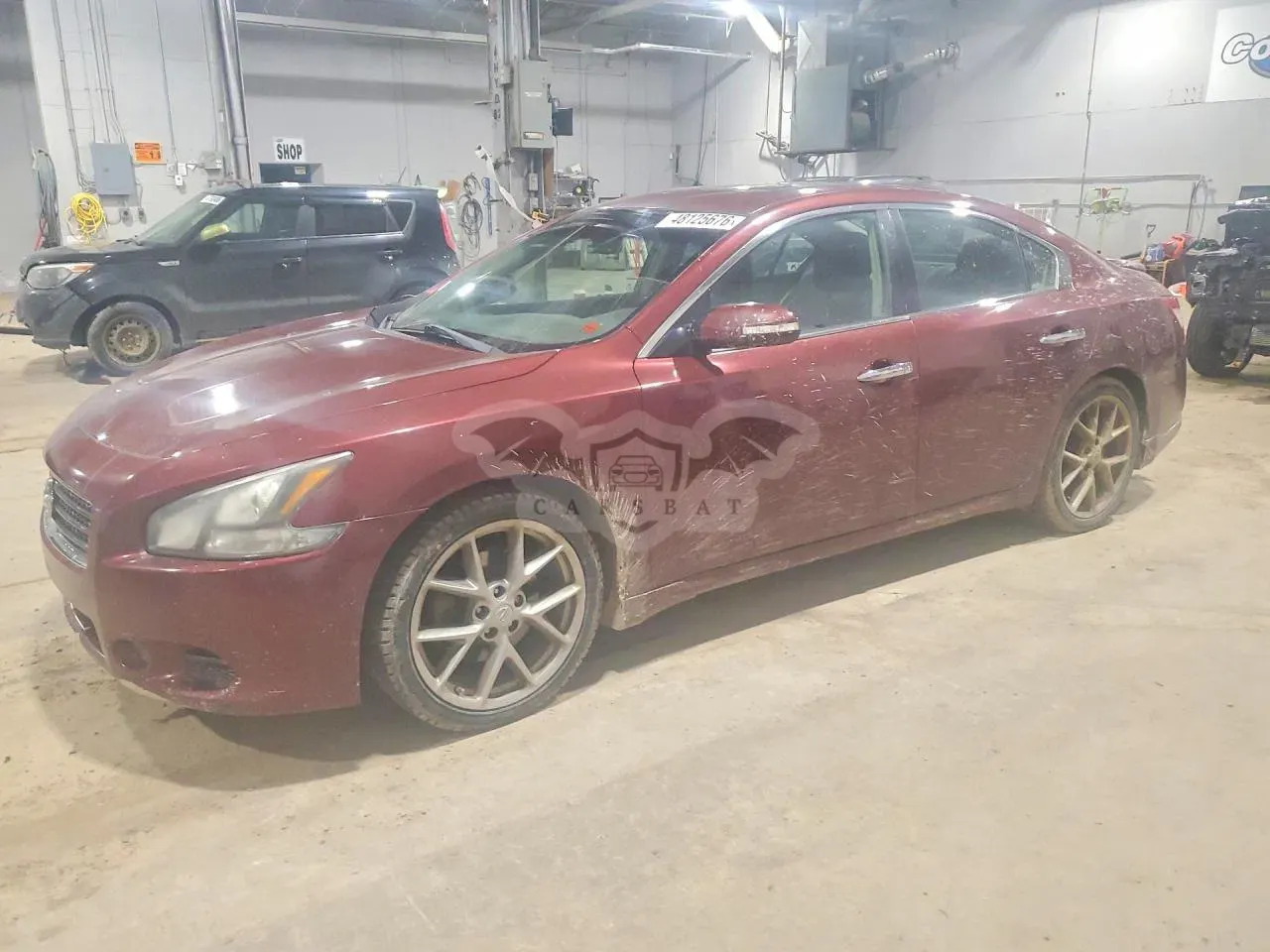 Nissan Maxima 3.5L 6 2011