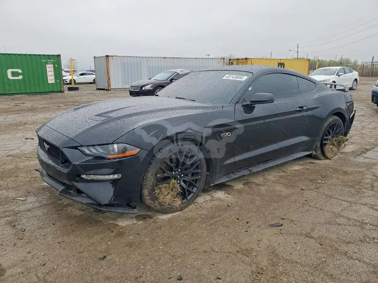 Ford Mustang 5.0L 8 2019