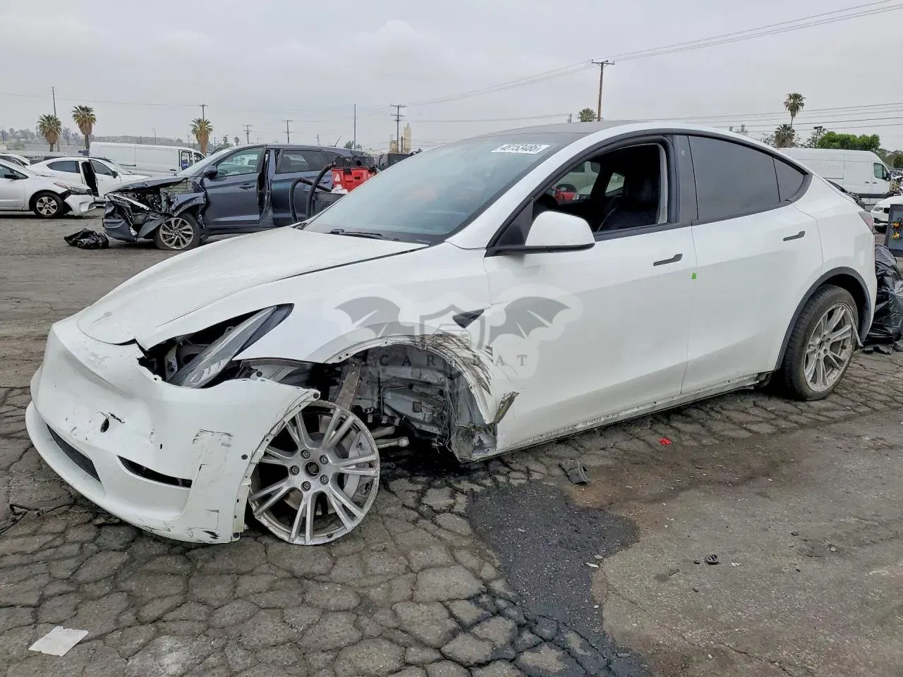 Tesla Model Y 2020