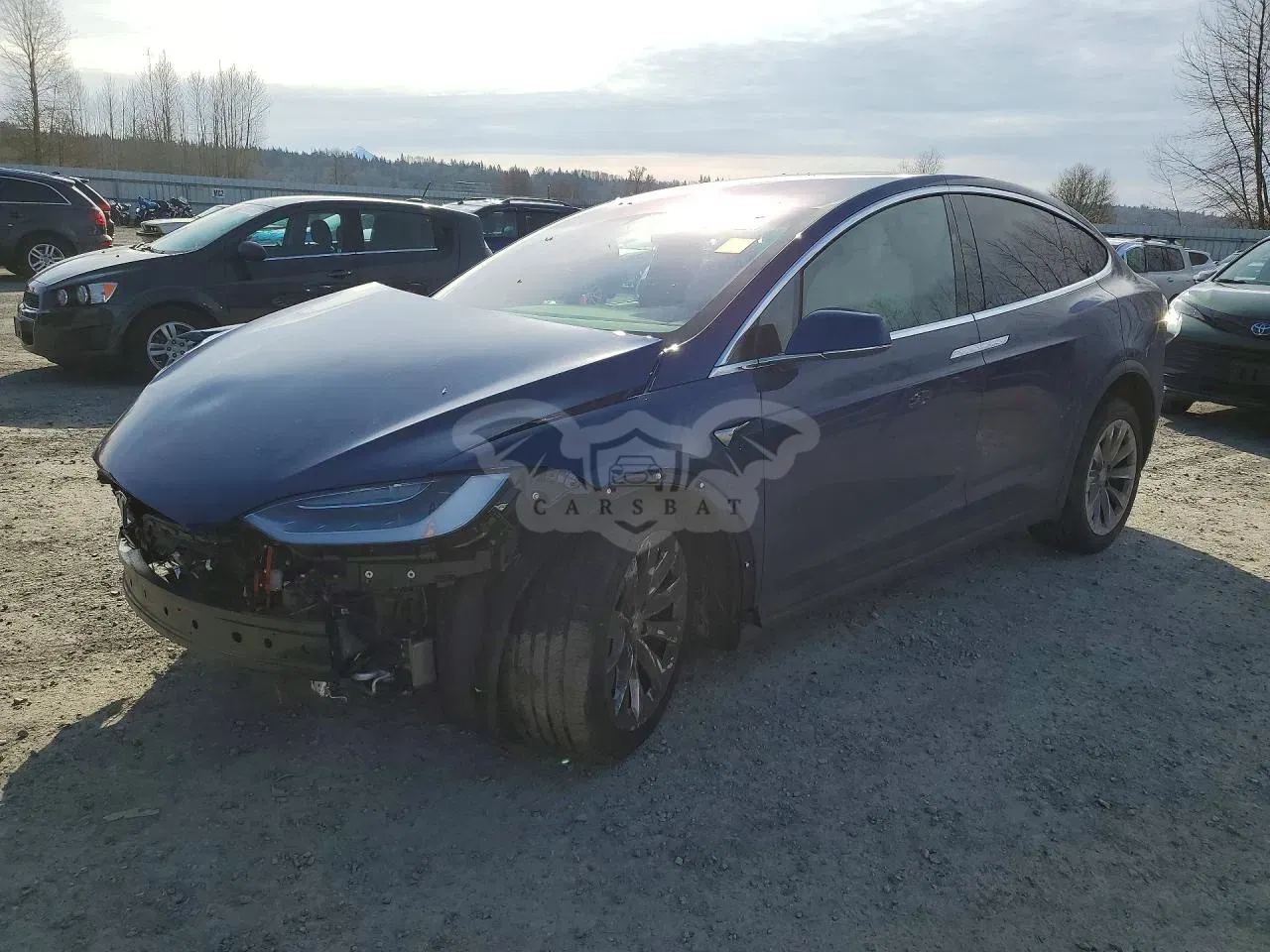 Tesla Model X 2020