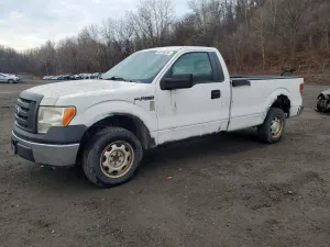 Ford F-150 4.6L 8 2010