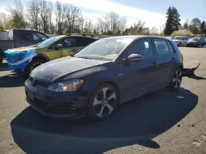 Volkswagen Golf 2L 4 2017