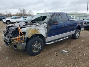 Ford F-150 4.6L 8 2010