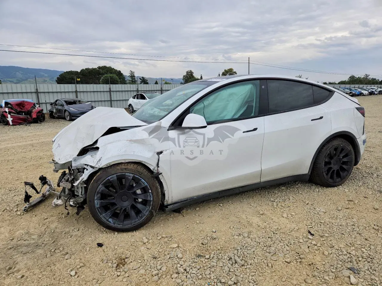 Tesla Model Y 2021