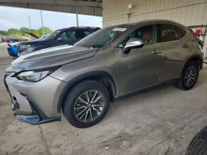 Lexus NX 2.5L 4 2025