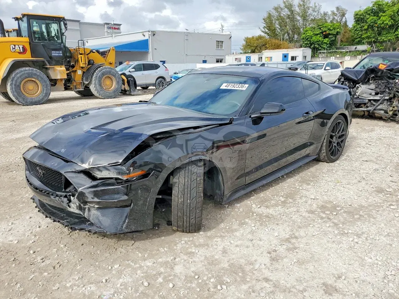 Ford Mustang 5.0L 8 2020