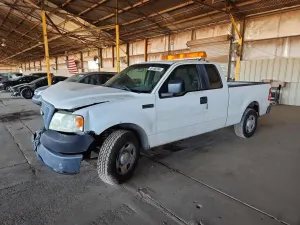 Ford F-150 4.6L 8 2007