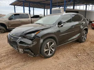 Lexus NX 2.0L 4 2020