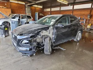 Hyundai Kona 2.0L 4 2019