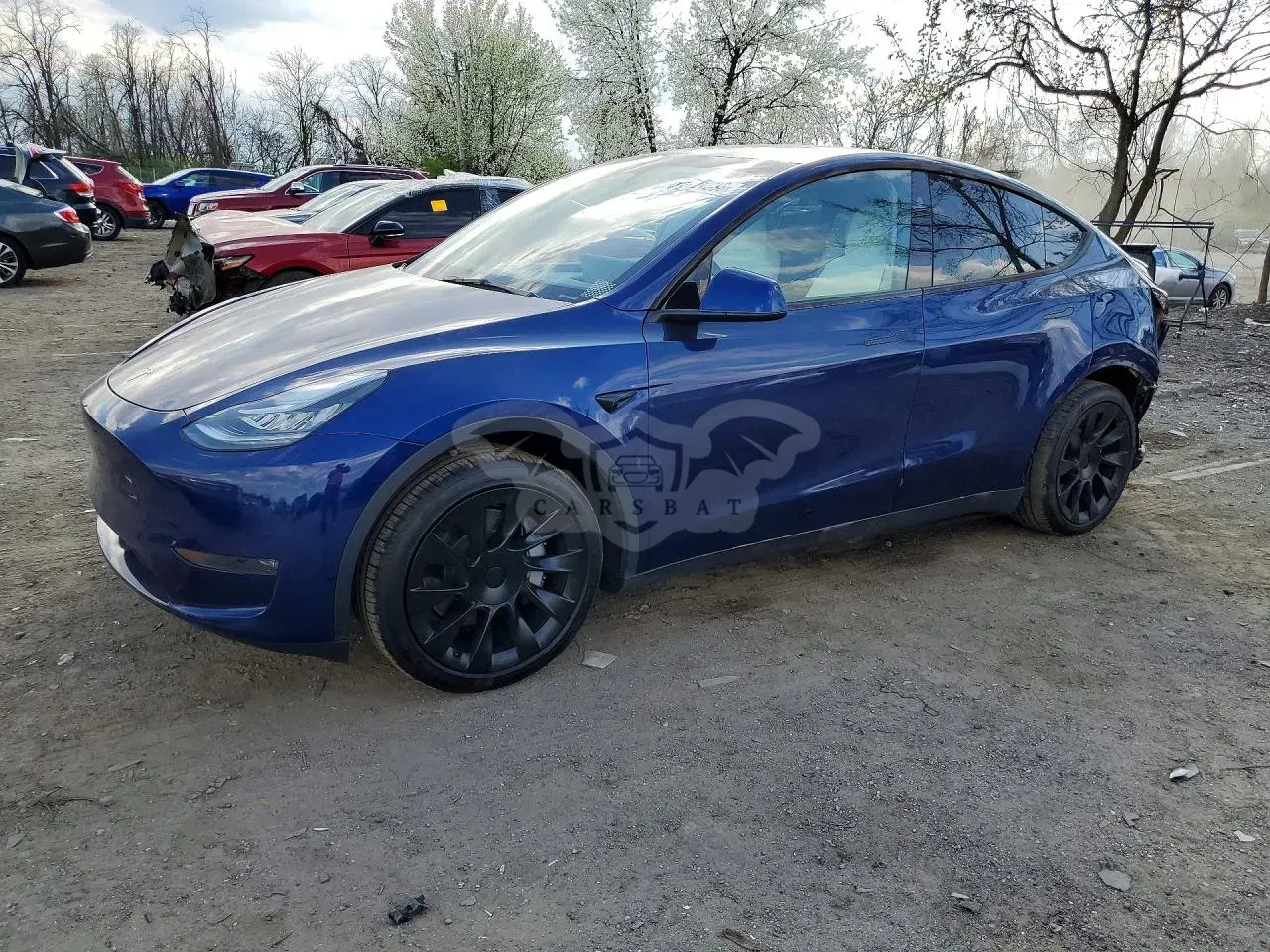 Tesla Model Y 2023