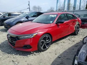 Honda Accord 1.5L 4 2022