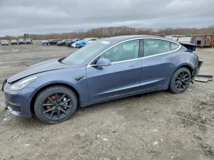 Tesla Model 3 2019