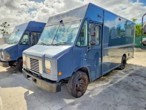 Ford F59 7.3L 8 2021