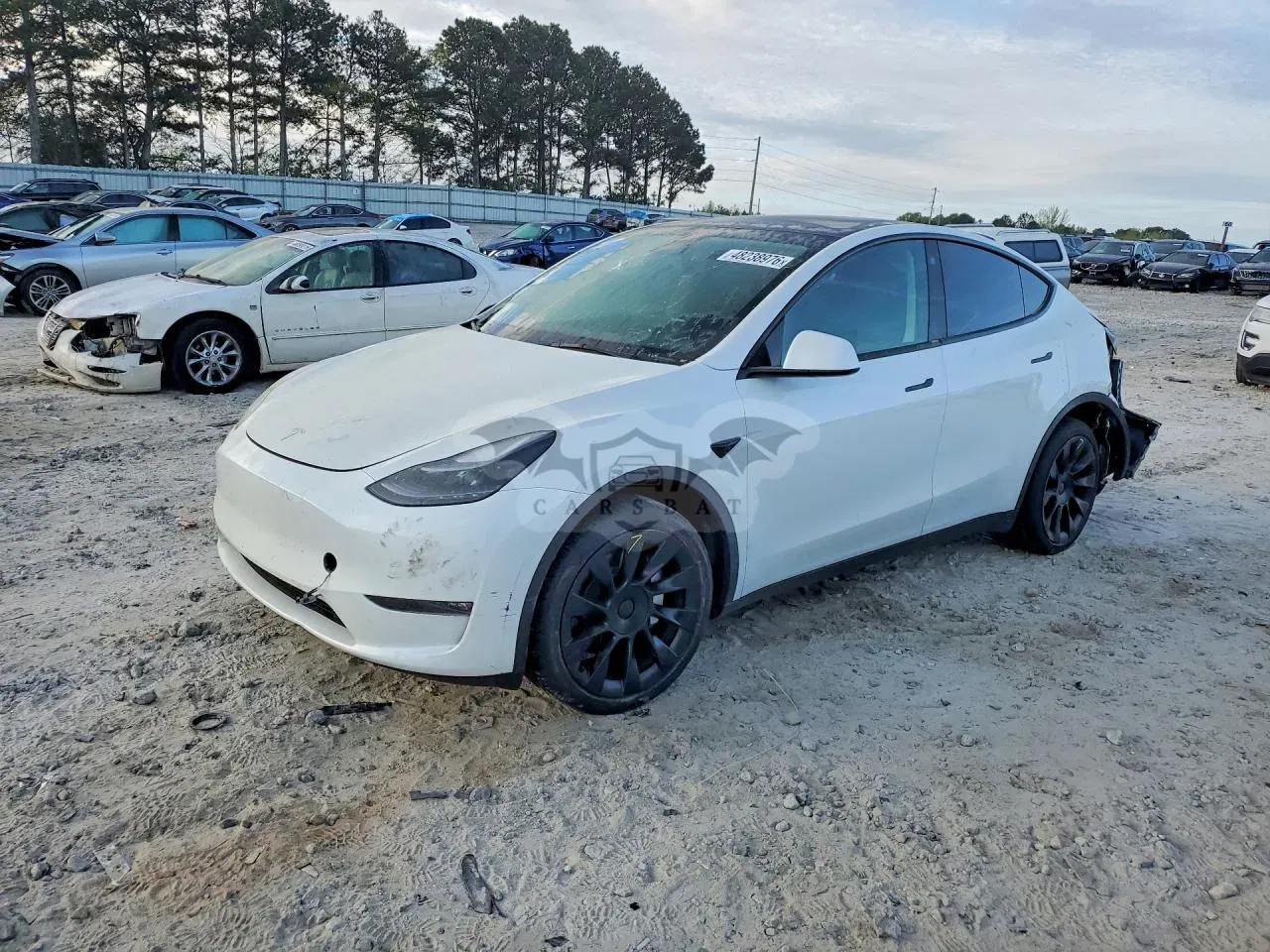 Tesla Model Y 2023