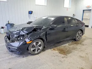 Honda Civic 2.0L 4 2019