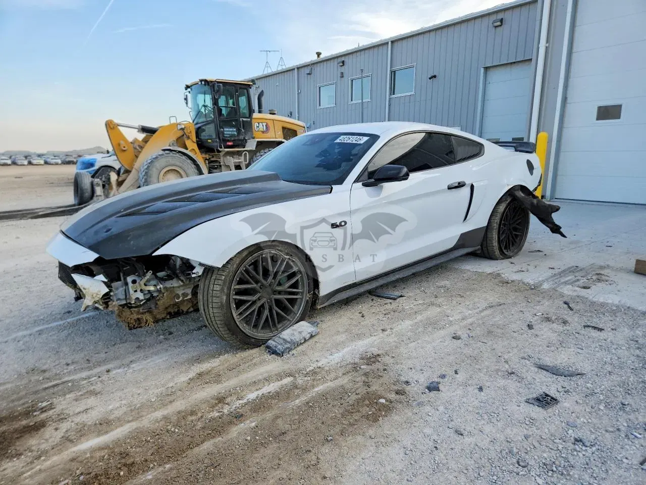 Ford Mustang 5.0L 8 2019