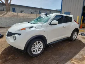 Nissan Juke 1.6L 4 2013