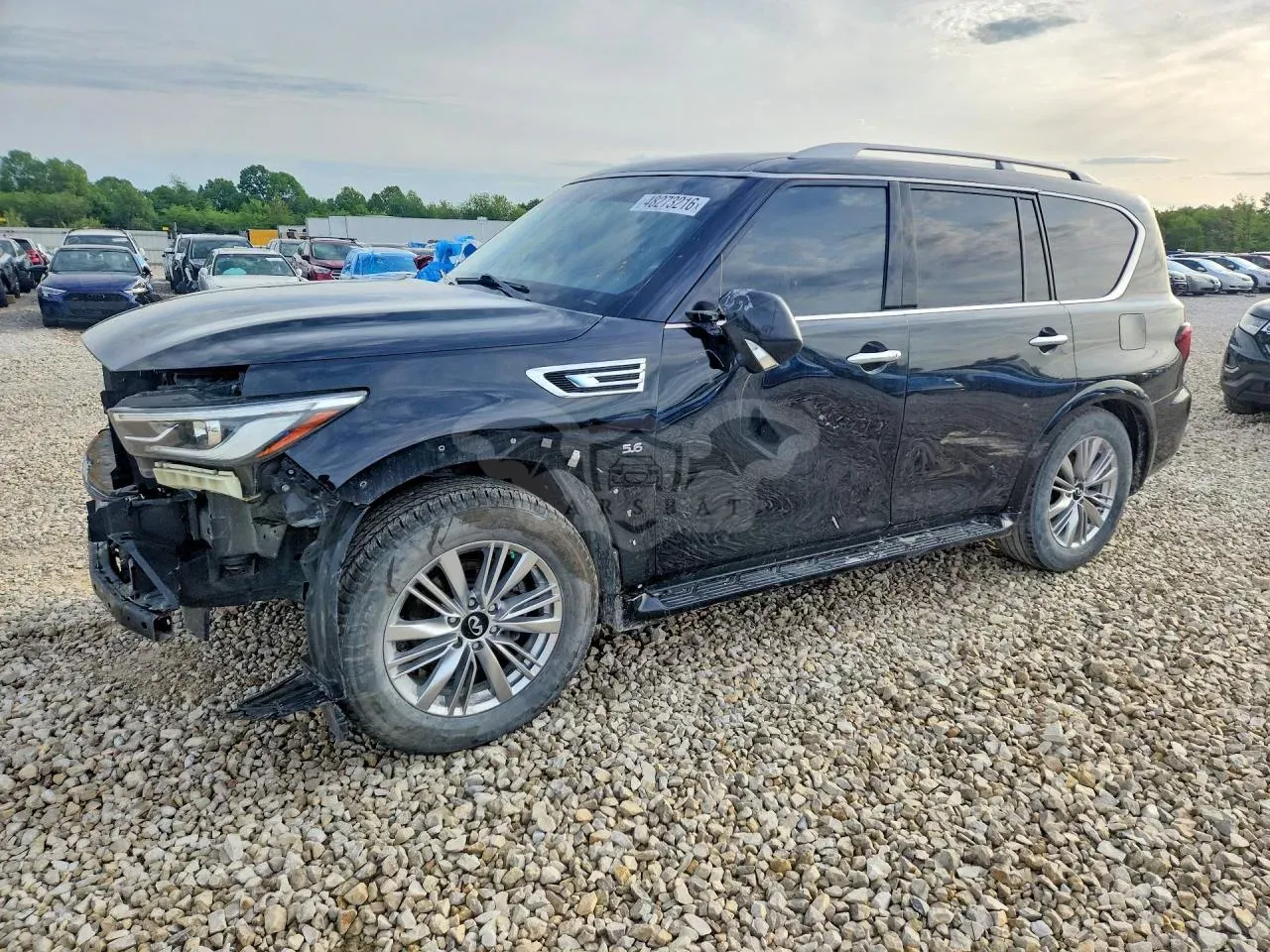 Infiniti QX80 2019