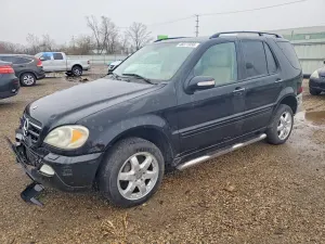 Mercedes-Benz ML 5.0L 8 2003