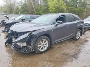 Lexus RX 3.5L 6 2022