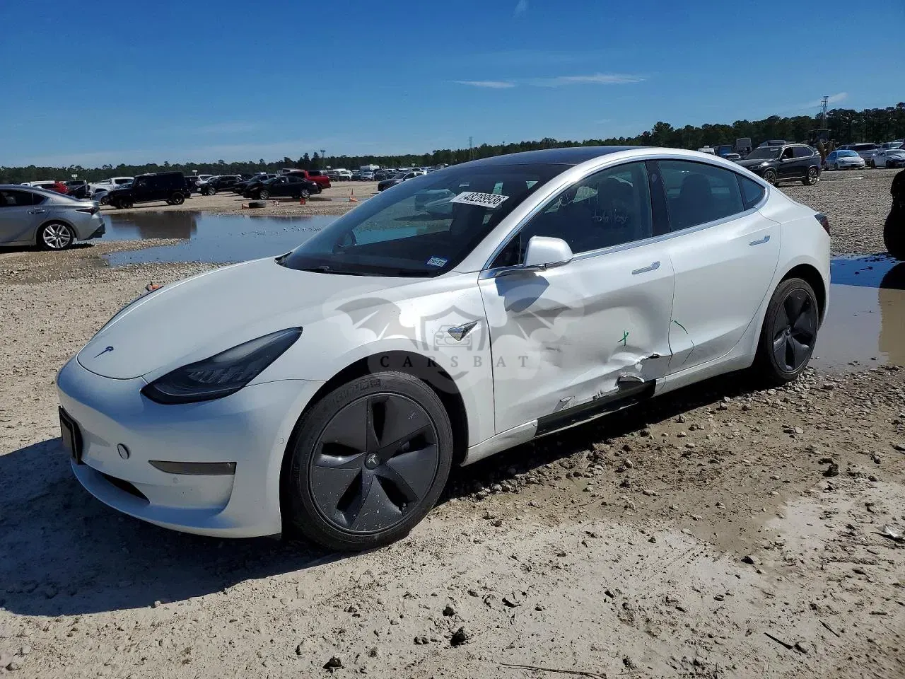 Tesla Model 3 2019