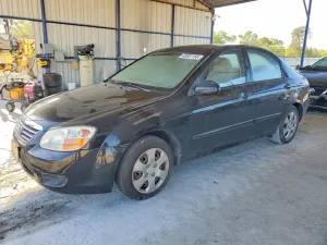Kia Spectra 2.0L 4 2008