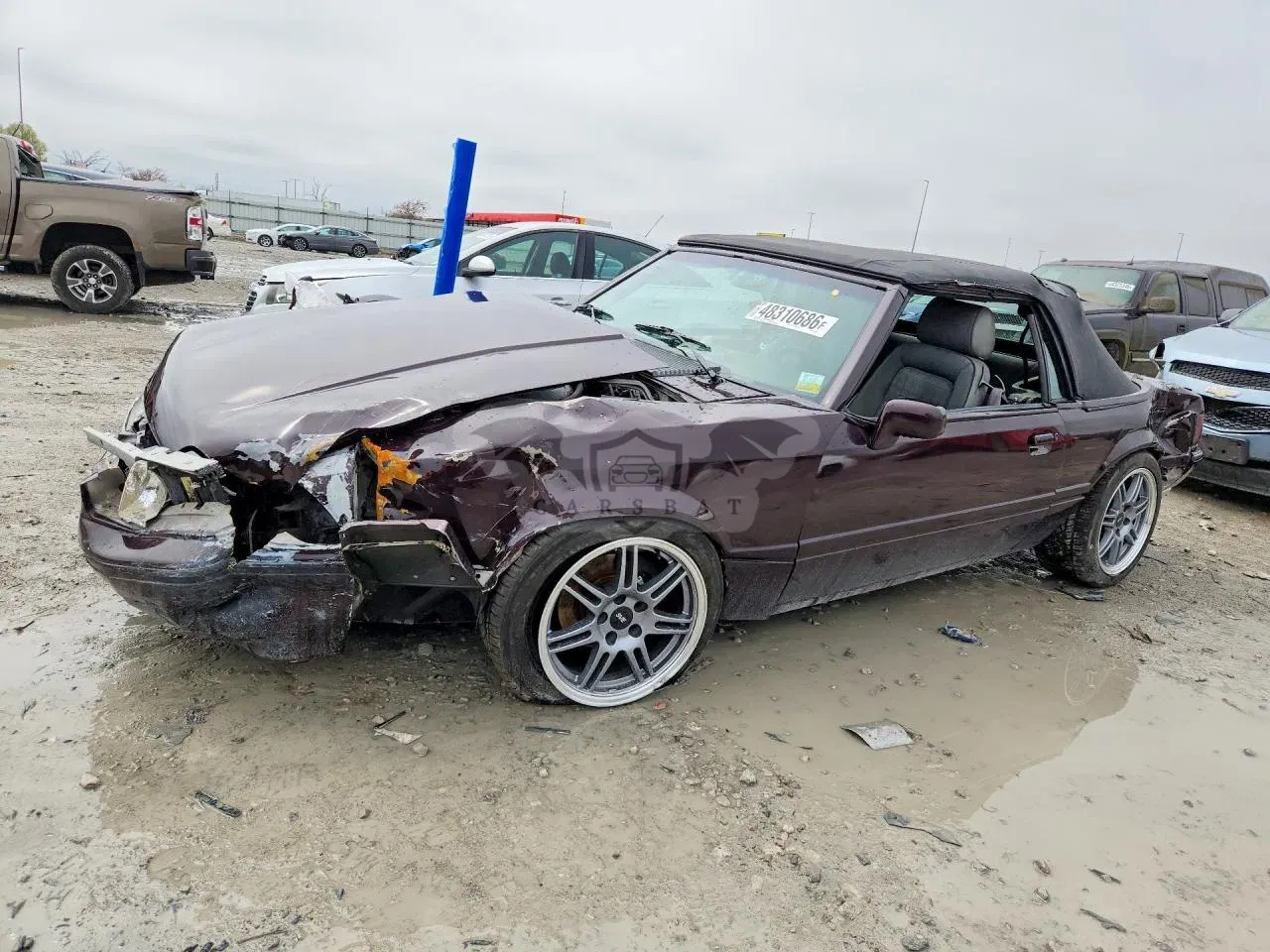 Ford Mustang 5.0L 8 1989