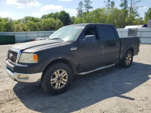 Ford F-150 5.4L 8 2005