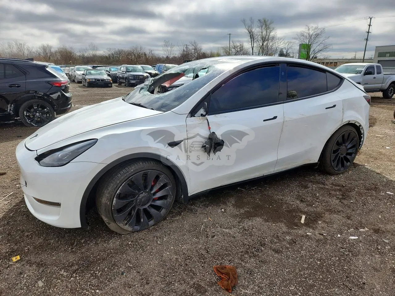 Tesla Model Y 2025