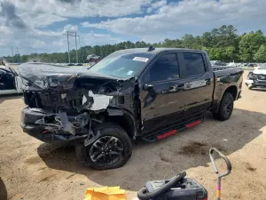 Chevrolet Silverado 1500 5.3L 8 2021