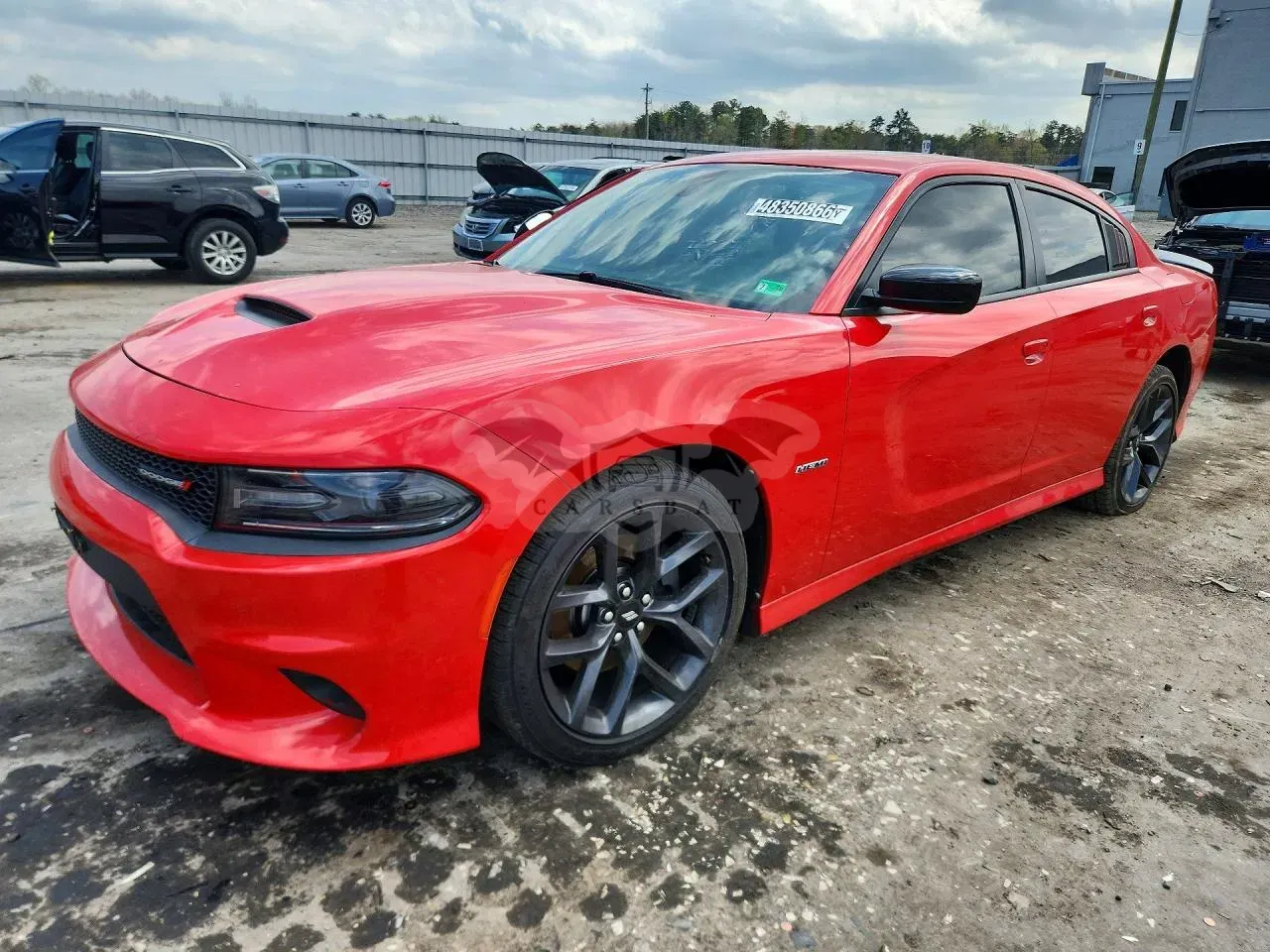 Dodge Charger 5.7L 8 2019