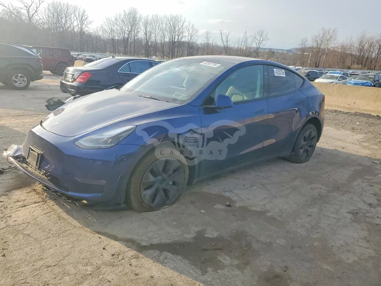 Tesla Model Y 2025