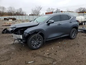 Lexus NX 2.5L 4 2024