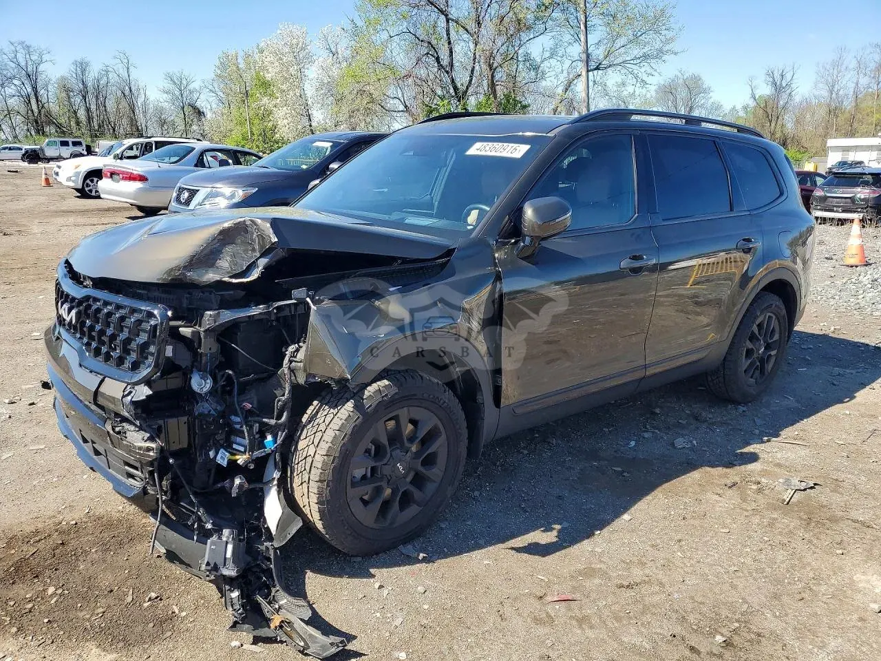 Kia Telluride 3.8L 6 2024